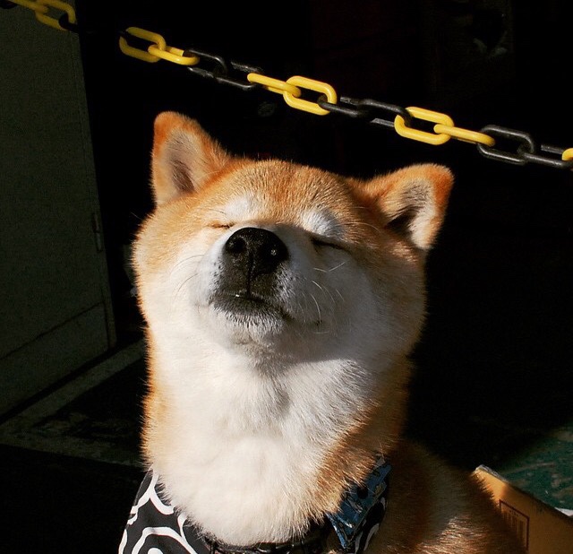 世界杯激情激荡：每一秒都令人心跳加速，世界杯激情歌曲