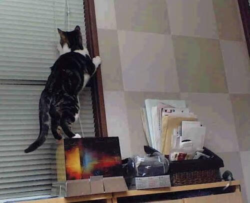 中国足球国家队训练基地环境持续优化升级,中国足球协会训练基地