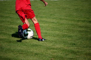 kaiyun体育app-青训球员选拔机制存在结构性偏见，青训选拔喜欢那种球员