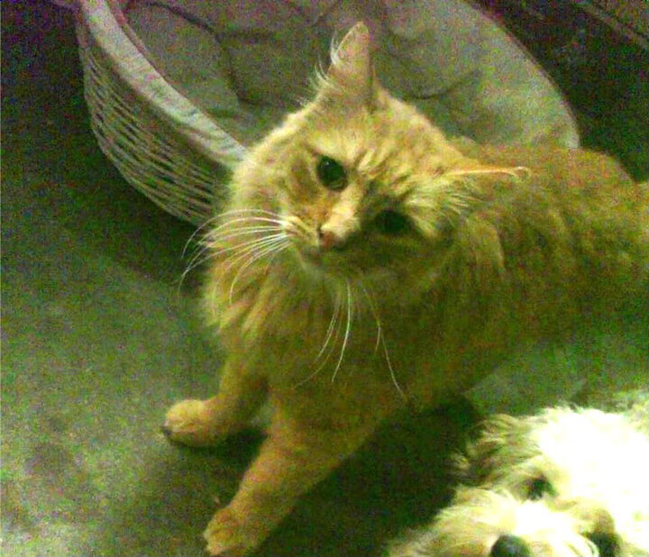 开云注册-中国女排封训期间注重心理调节训练，中国女排背后训练的艰辛历程