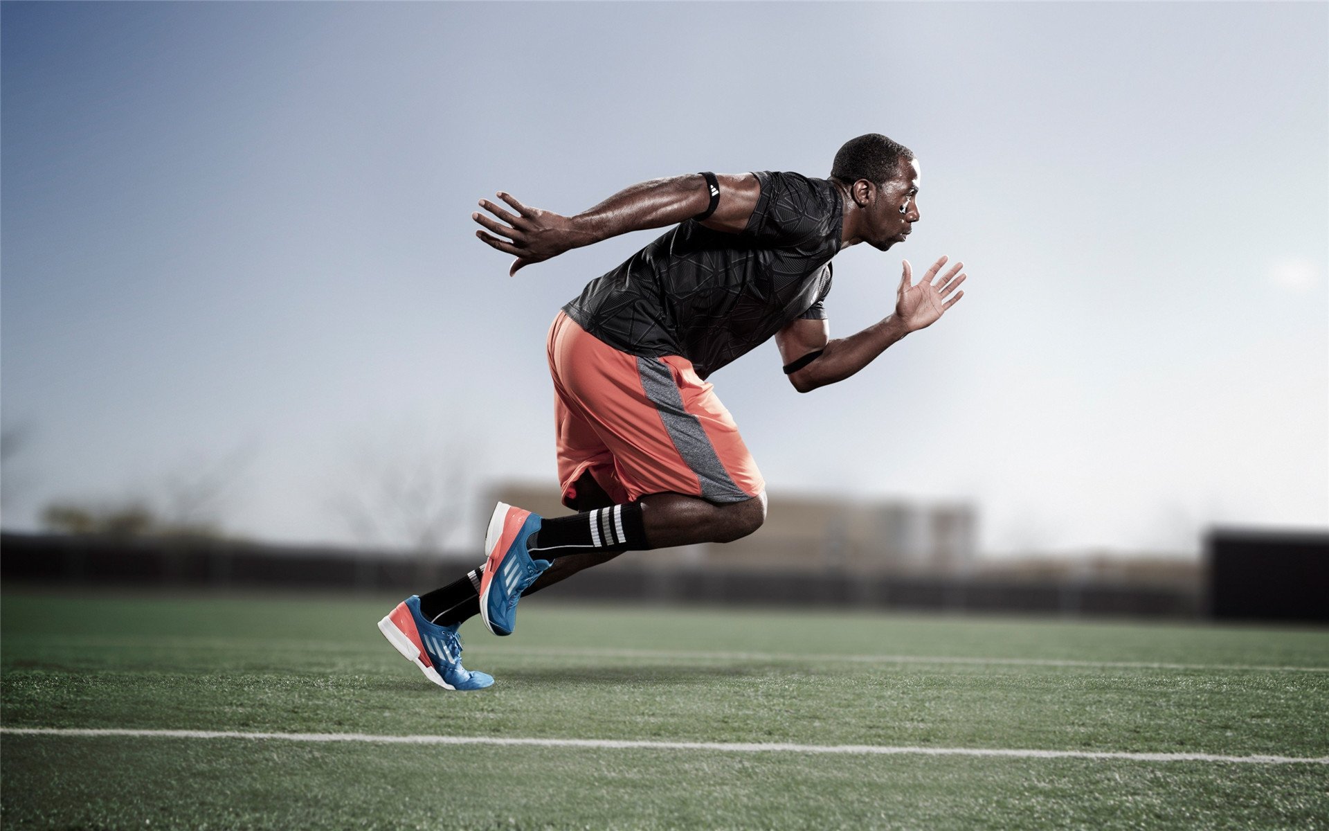 城市设立专项绿色交通基金支持赛事低碳发展,绿色城市建设实施方案